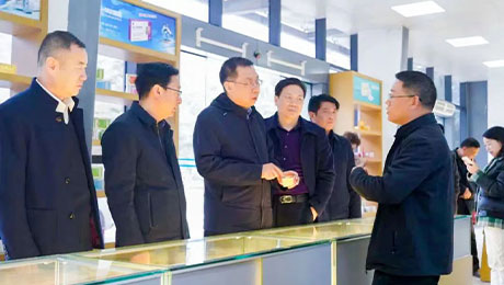 依法服务保障企业更好发展，陇南中院院长万建军赴独一味制药调研指导