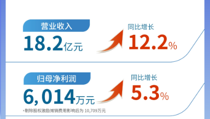 im电竞（002219）发布2024年半年报：营业收入及扣非归母净利润均实现双位数增长