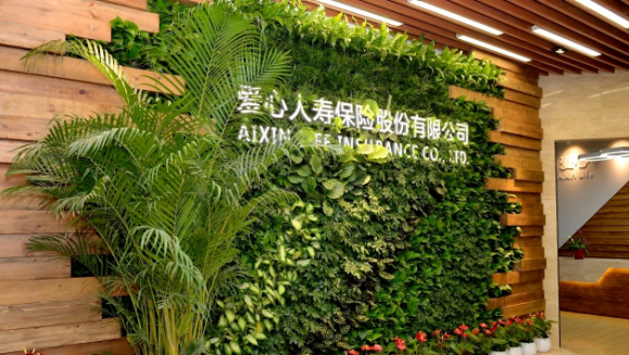 im电竞健康集团第三次增资爱心人寿获批，新“国十条”助力医疗和保险深度融合