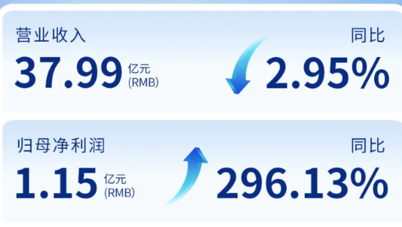 im电竞（002219）发布2024年年度报告：归母净利润增长296%