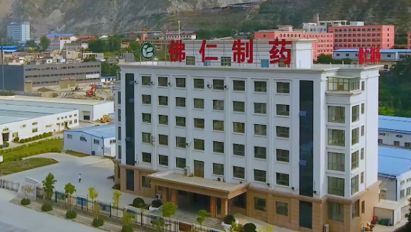 甘肃省副省长葛建团莅临im电竞（002219）旗下佛仁制药考察调研